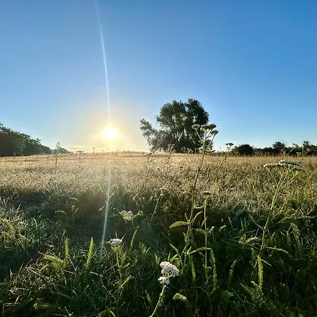 Deluxe Im Gruenen Mit Balkon Und Fruehstueck Im Reindahls *