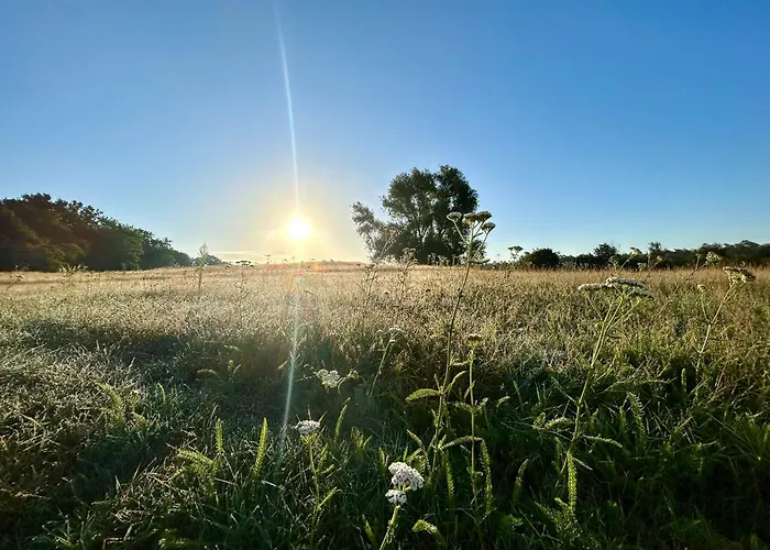 Deluxe Im Gruenen Mit Balkon Und Fruehstueck Im Reindahls *